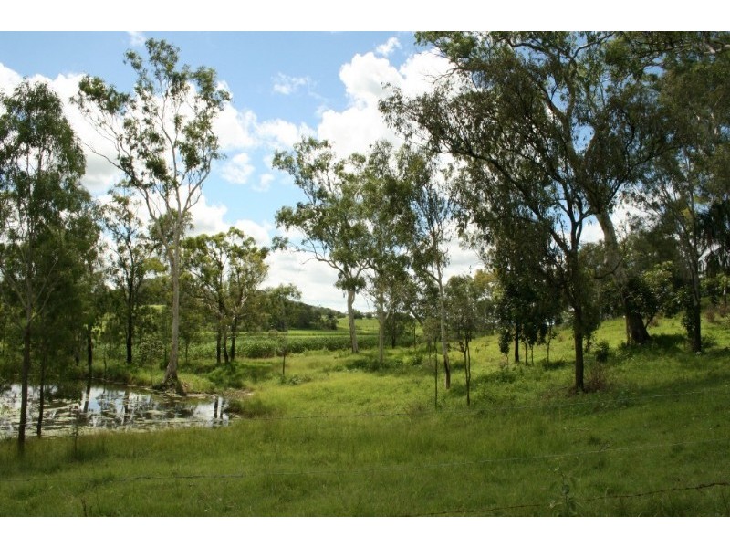 100 Whitaker Road, Sarina QLD 4737