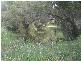 Sarina QLD 4737