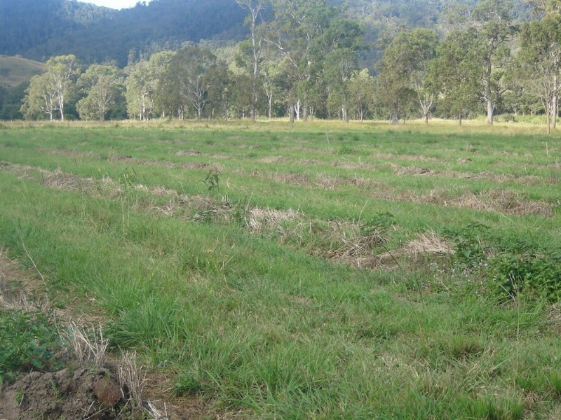 Sarina QLD 4737