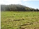 Sarina QLD 4737