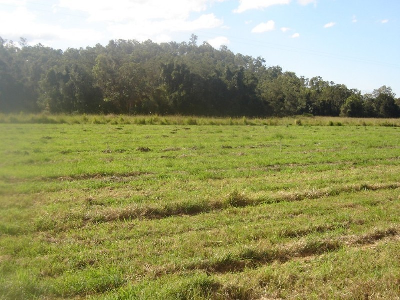Sarina QLD 4737