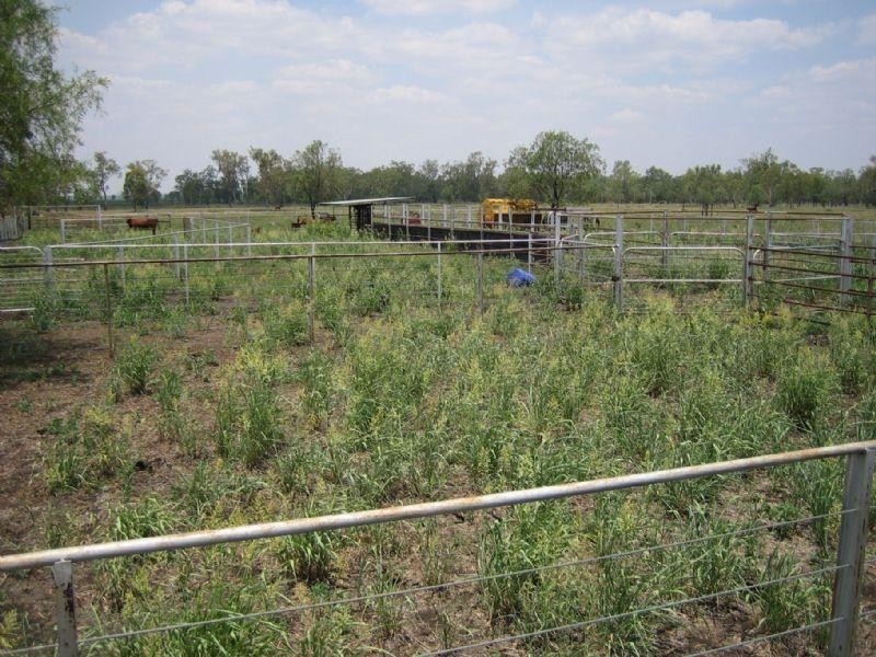 5 Kingswell Road, Springsure QLD 4722