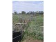 5 Kingswell Road, Springsure QLD 4722