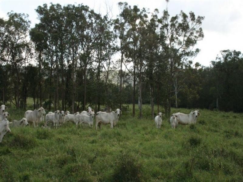 92 Dunn Road, Sarina QLD 4737