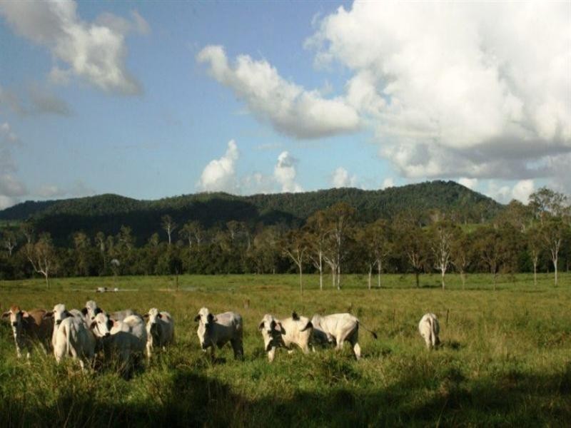 92 Dunn Road, Sarina QLD 4737