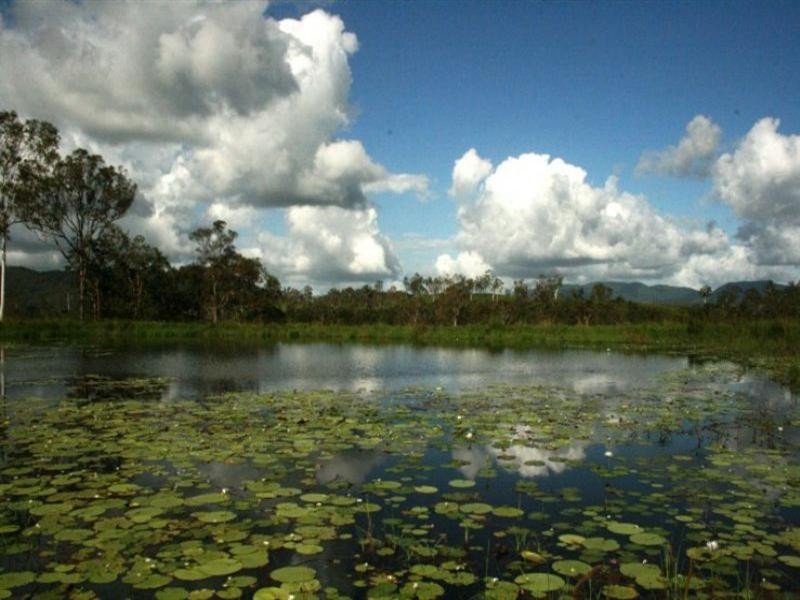 92 Dunn Road, Sarina QLD 4737