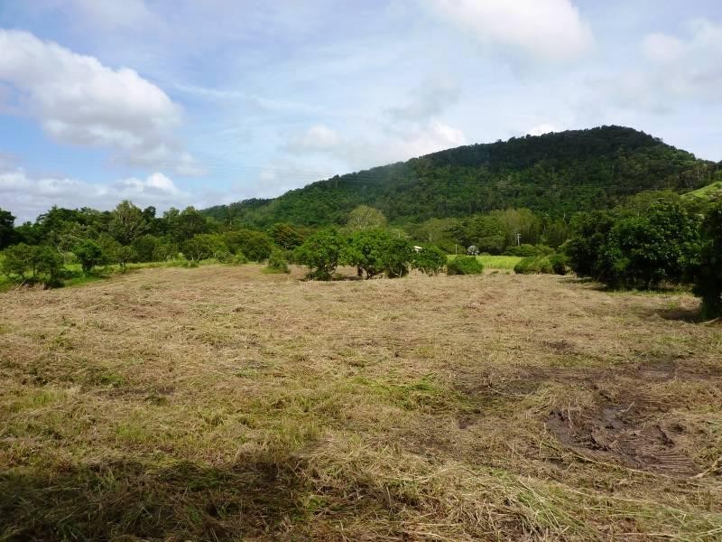 195 Range Road, Sarina QLD 4737