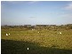 Sarina QLD 4737