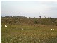 Sarina QLD 4737