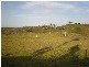 Sarina QLD 4737