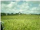 Sarina QLD 4737
