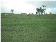 Sarina QLD 4737