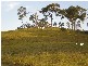 Sarina QLD 4737