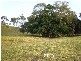 Sarina QLD 4737