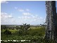 Sarina QLD 4737
