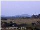 Sarina QLD 4737