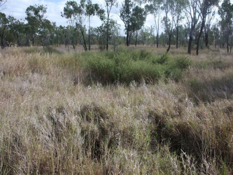 22 Dysart/Clermont Road, Dysart QLD 4745