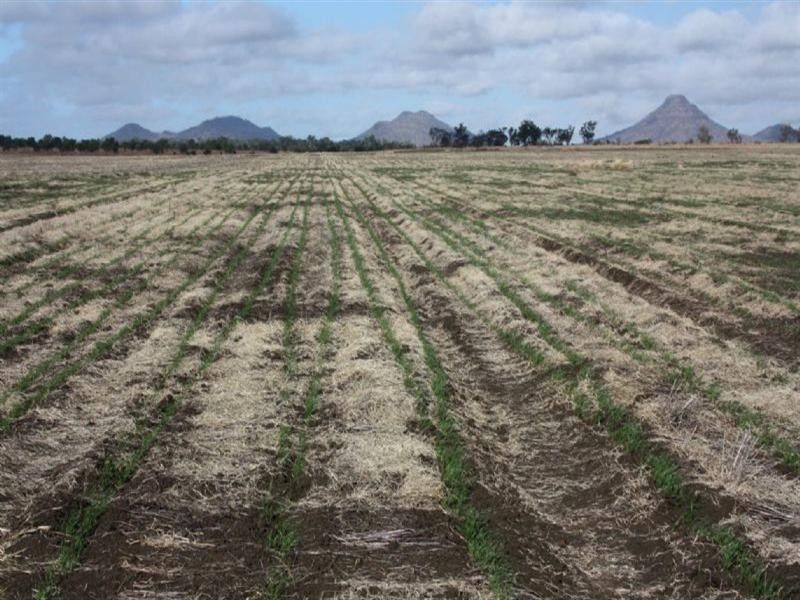 22 Dysart/Clermont Road, Dysart QLD 4745