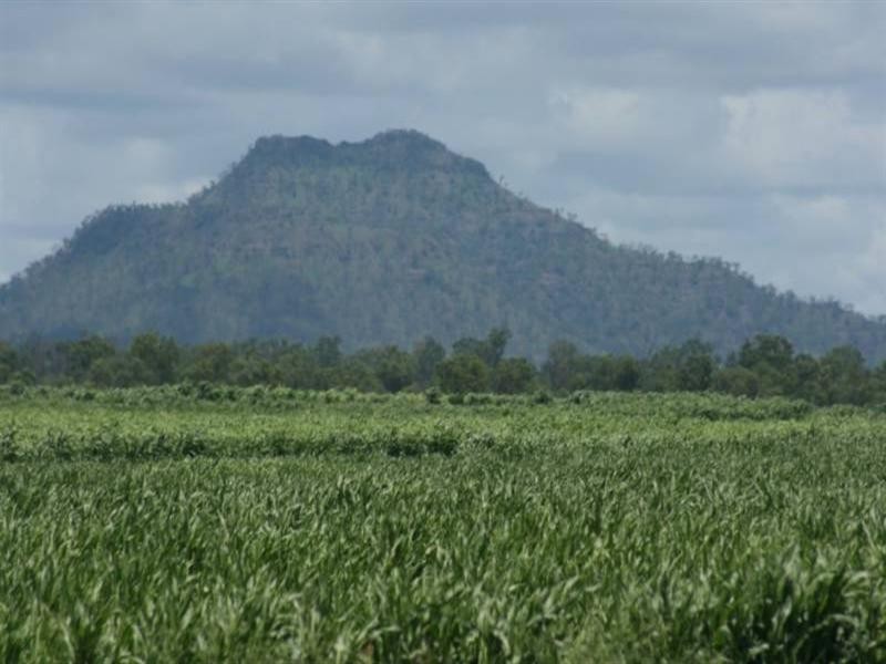 22 Dysart/Clermont Road, Dysart QLD 4745