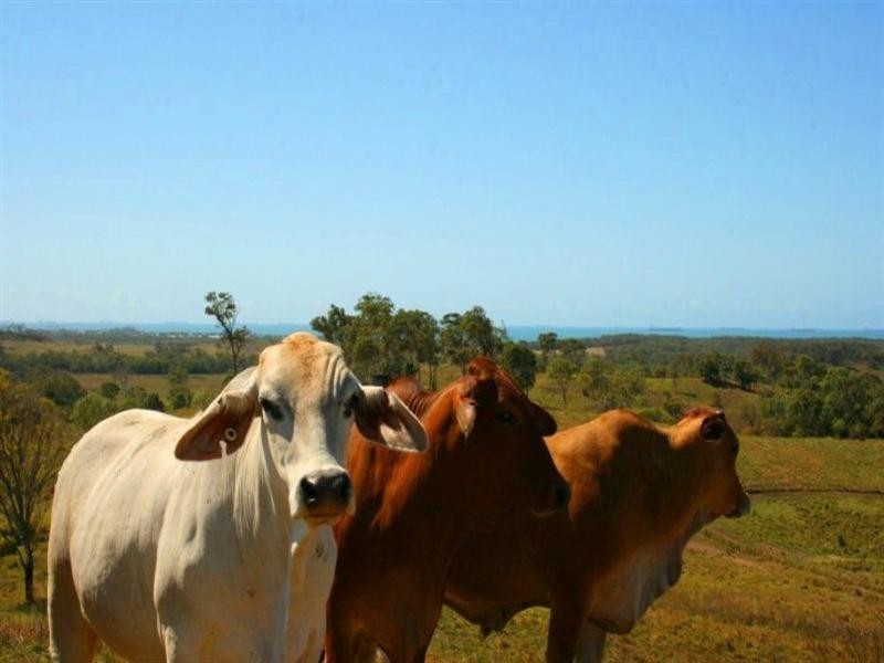 0 Grasstree Beach Road, Sarina QLD 4737