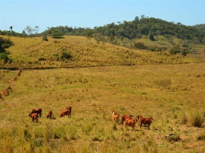 0 Grasstree Beach Road, Sarina QLD 4737