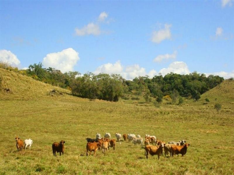 0 Grasstree Beach Road, Sarina QLD 4737