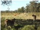 Sarina QLD 4737