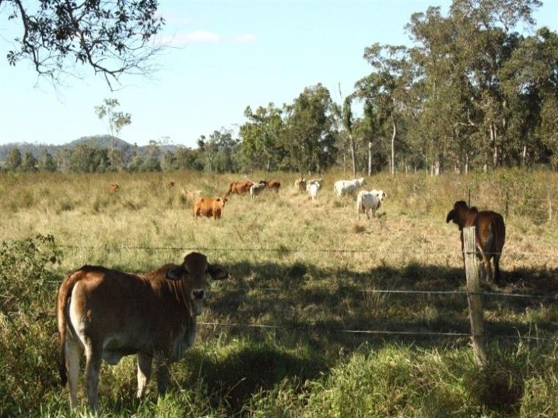Sarina QLD 4737