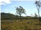 Sarina QLD 4737