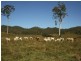 Sarina QLD 4737