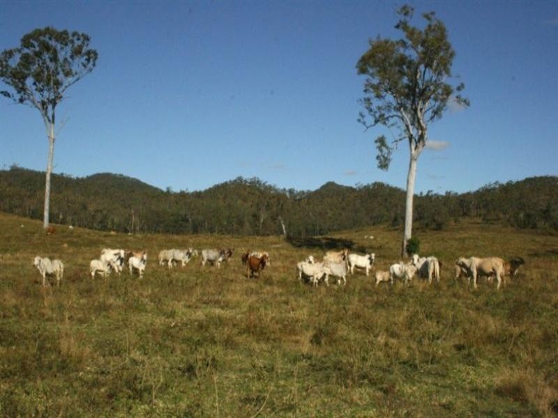 Sarina QLD 4737