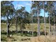Sarina QLD 4737