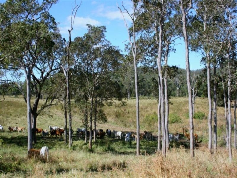 Sarina QLD 4737