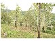100 Middle Creek Dam Road, Sarina QLD 4737