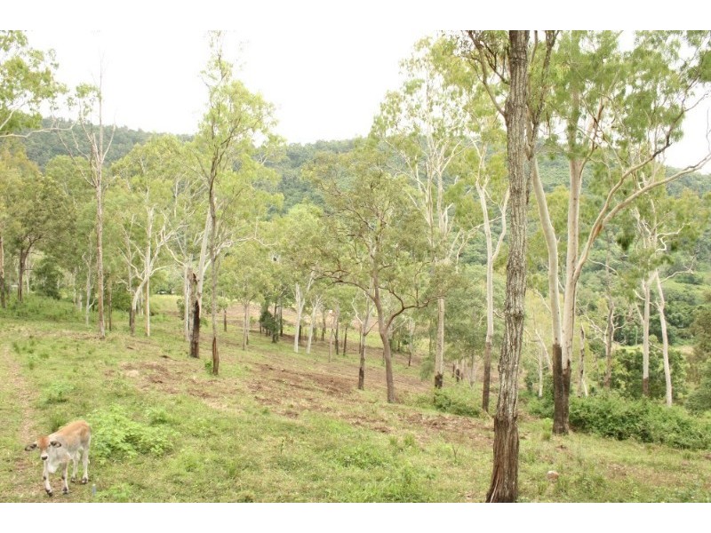 100 Middle Creek Dam Road, Sarina QLD 4737