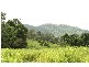 100 Middle Creek Dam Road, Sarina QLD 4737