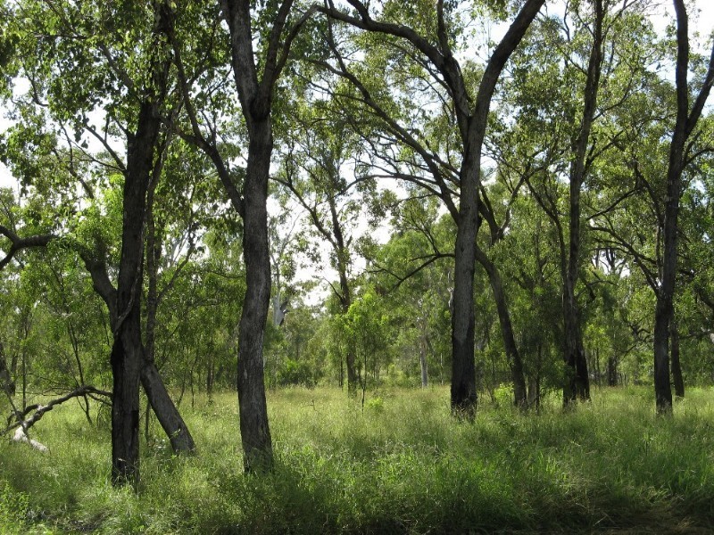 3964 Airstrip Road, Nebo QLD 4742