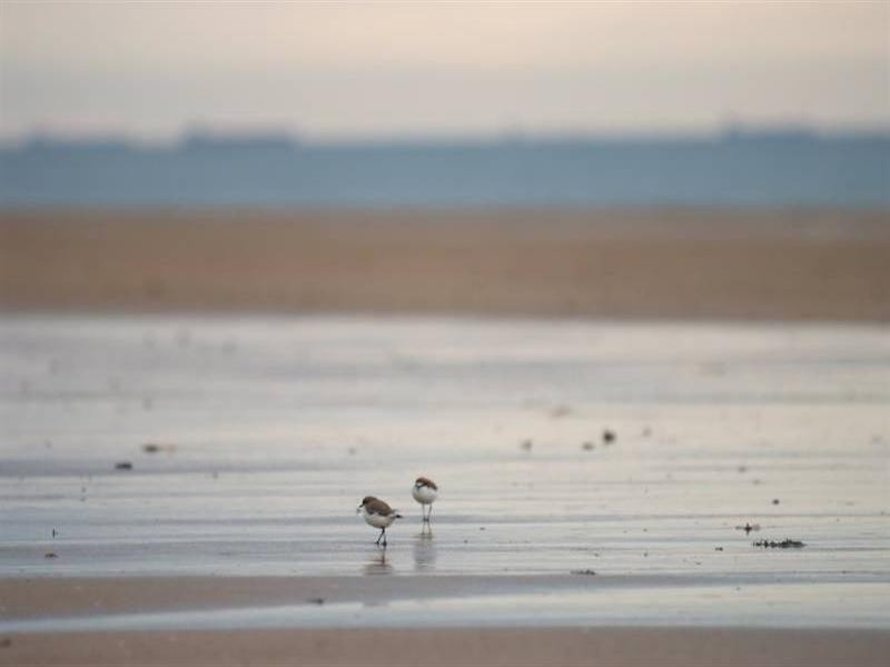 10 Morris, Campwin Beach QLD 4737