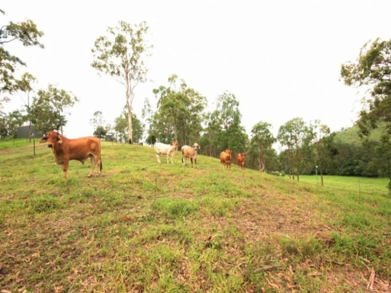 624 East Funnel Creek, Sarina Range QLD 4737