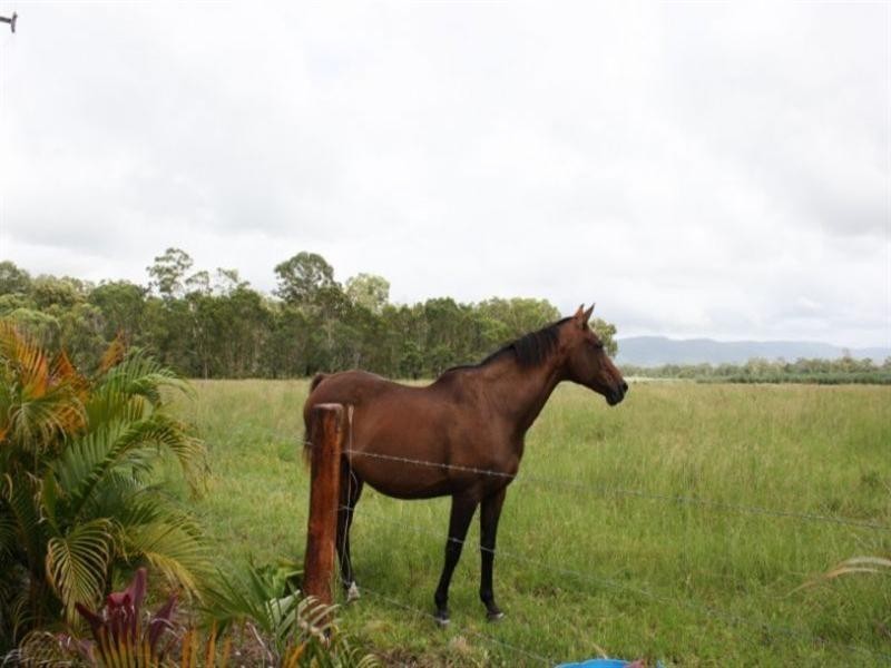 165 Smart Road, Sarina QLD 4737