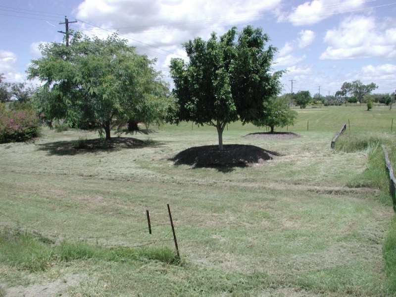 29 Mary Street, Nebo QLD 4742