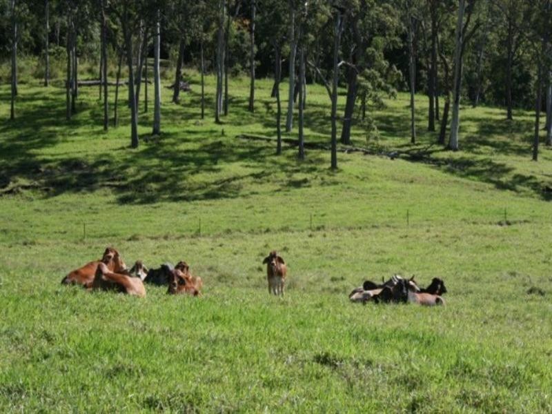257 West Plane Creek Road, Sarina QLD 4737