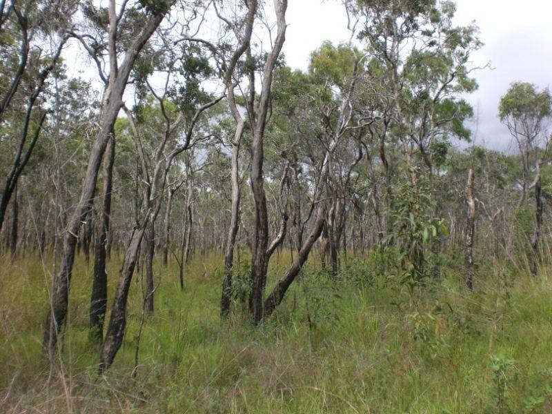 Lot 1 Bruce Highway, Clairview QLD 4741