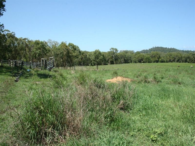 797 Grasstree Road, Sarina QLD 4737
