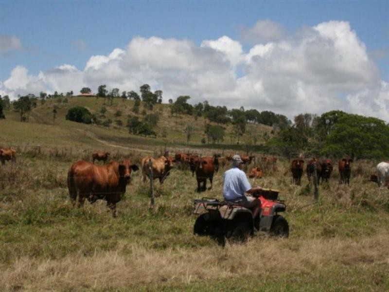 760 Grasstree Road, Sarina QLD 4737