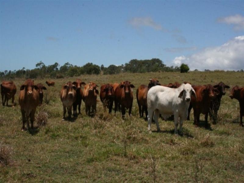 760 Grasstree Road, Sarina QLD 4737