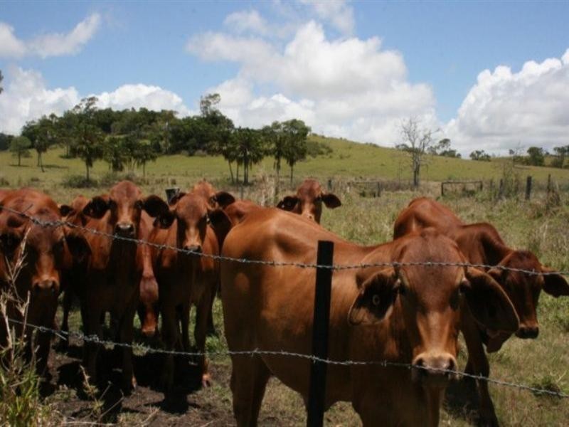 760 Grasstree Road, Sarina QLD 4737