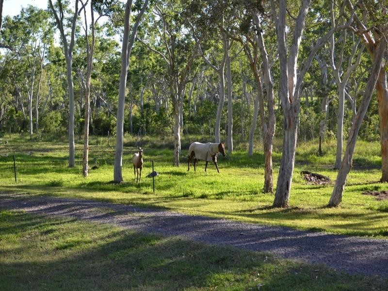 571 Miran Khan Drive, Freshwater Point QLD 4737