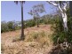 14 Galloway Drive, Ilbilbie QLD 4738