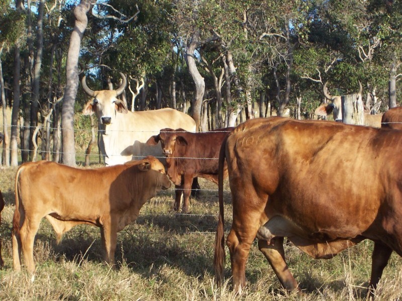Hay Point QLD 4740